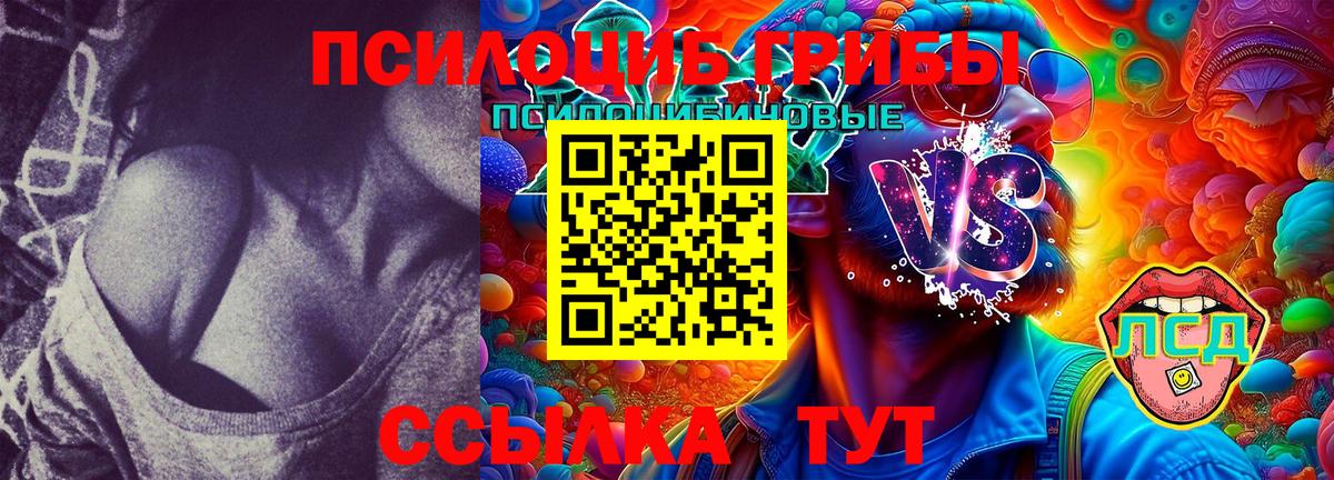 Галлюциногенные грибы Magic Shrooms Бирск
