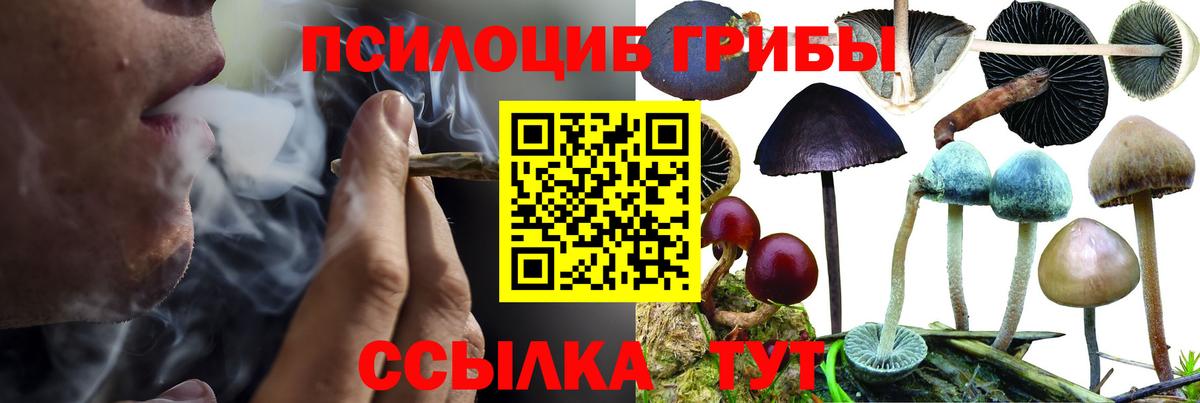 Бирск  где найти наркотики  Вход с VPN  Галлюциногенные грибы MAGIC MUSHROOMS 
